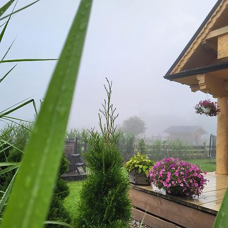 Sudecki Dym Z Kominkiem Kolo Karpacza. Agroturystyka Janowice Wielkie Buitenkant foto