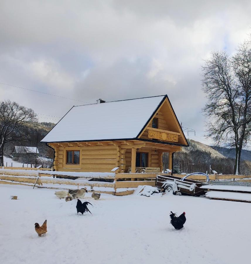 Sudecki Dym Z Kominkiem Kolo Karpacza. Agroturystyka Janowice Wielkie Buitenkant foto