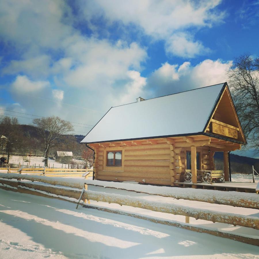 Sudecki Dym Z Kominkiem Kolo Karpacza. Agroturystyka Janowice Wielkie Buitenkant foto