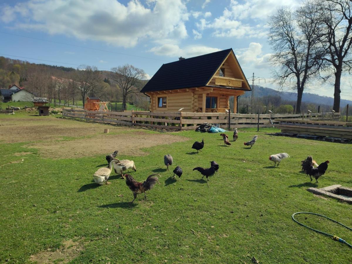 Sudecki Dym Z Kominkiem Kolo Karpacza. Agroturystyka Janowice Wielkie Buitenkant foto