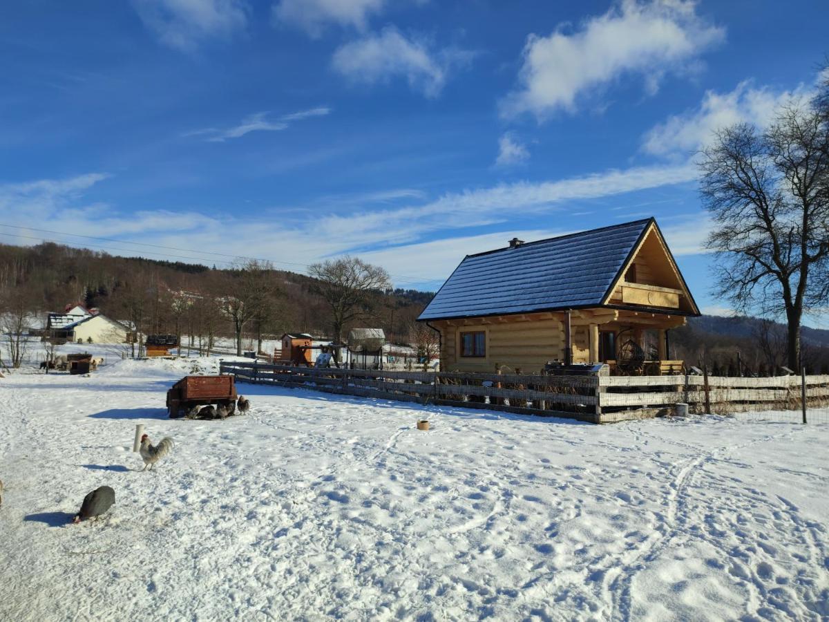 Sudecki Dym Z Kominkiem Kolo Karpacza. Agroturystyka Janowice Wielkie Buitenkant foto