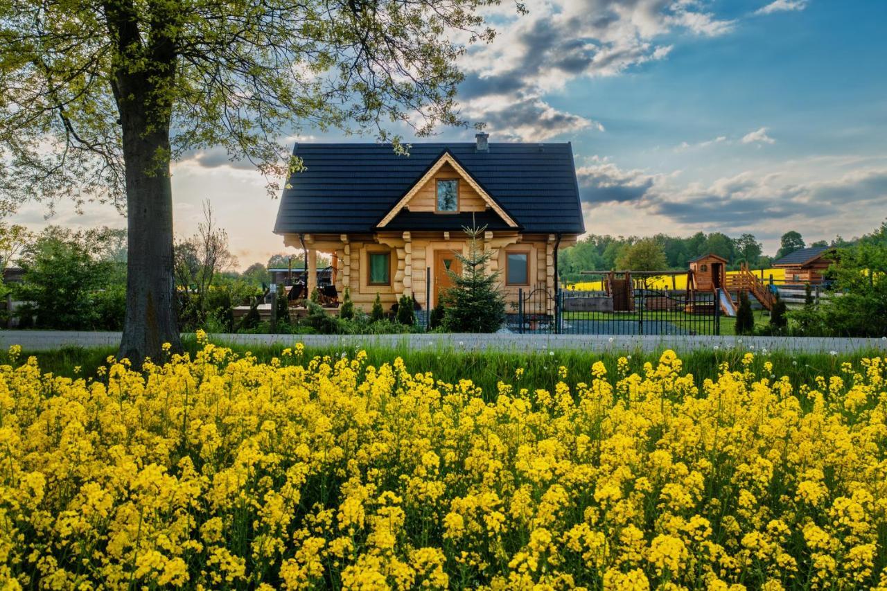 Sudecki Dym Z Kominkiem Kolo Karpacza. Agroturystyka Janowice Wielkie Buitenkant foto