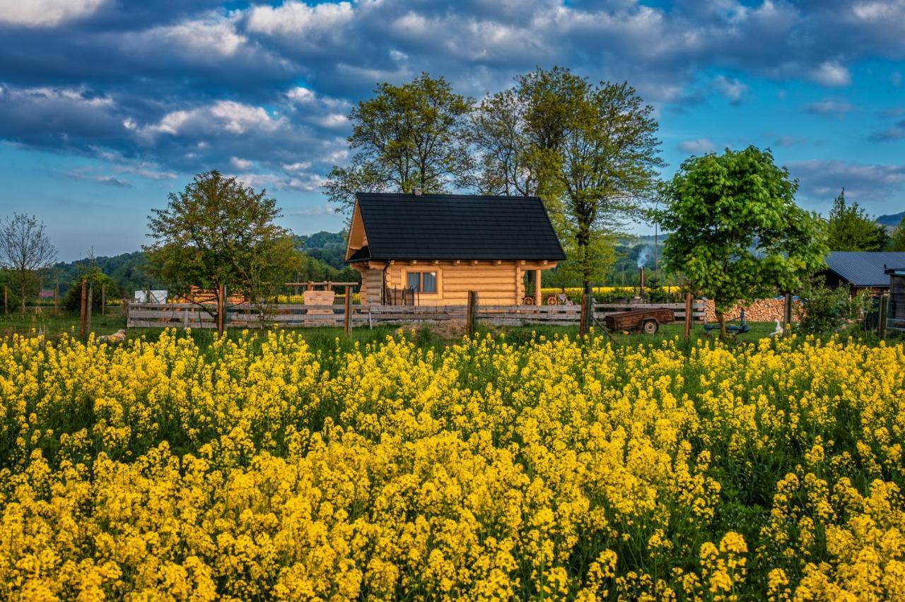 Sudecki Dym Z Kominkiem Kolo Karpacza. Agroturystyka Janowice Wielkie Buitenkant foto