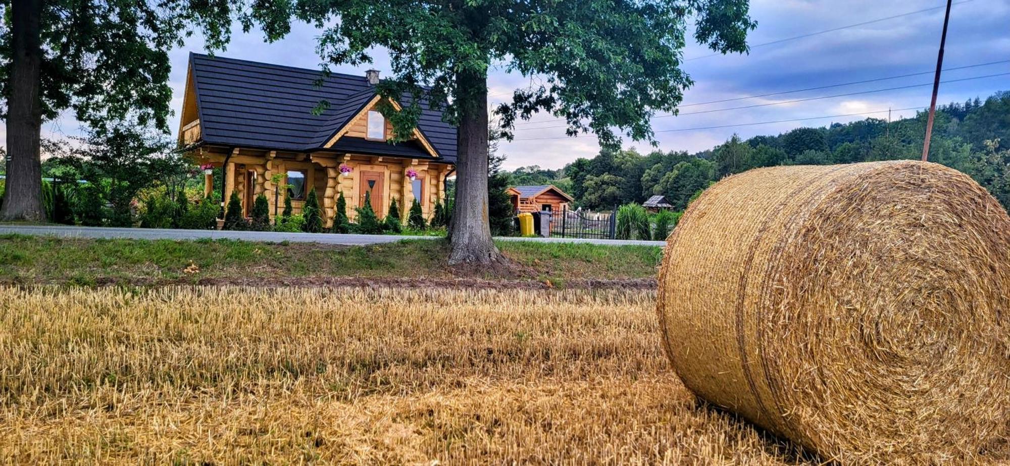 Sudecki Dym Z Kominkiem Kolo Karpacza. Agroturystyka Janowice Wielkie Buitenkant foto
